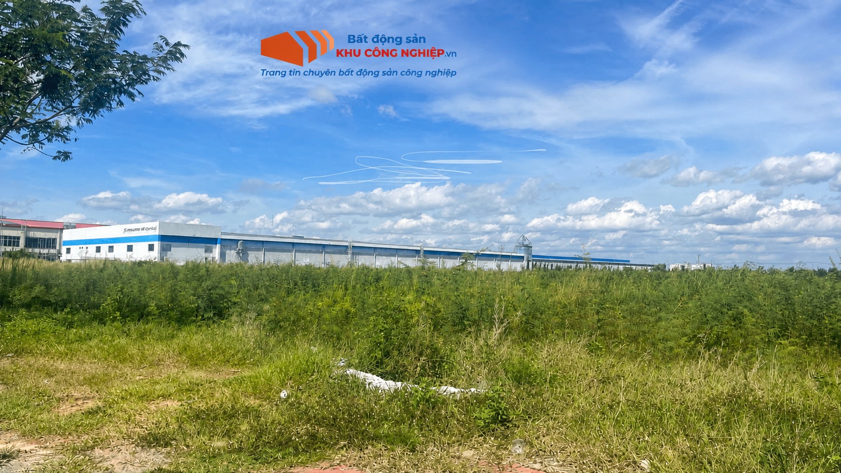 Bán 24,300 m2 đất công nghiệp KCN Tân Đức, Đức Hoà, Long An