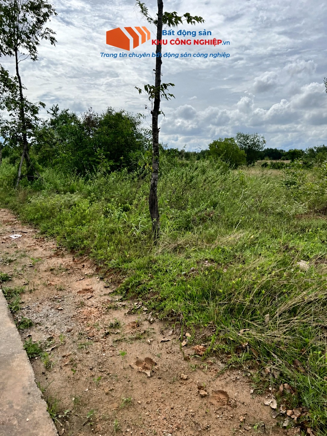 Bán 37,000 m2 đất công nghiệp KCN Mỹ Phước 4, Bến Cát, Bình Dương