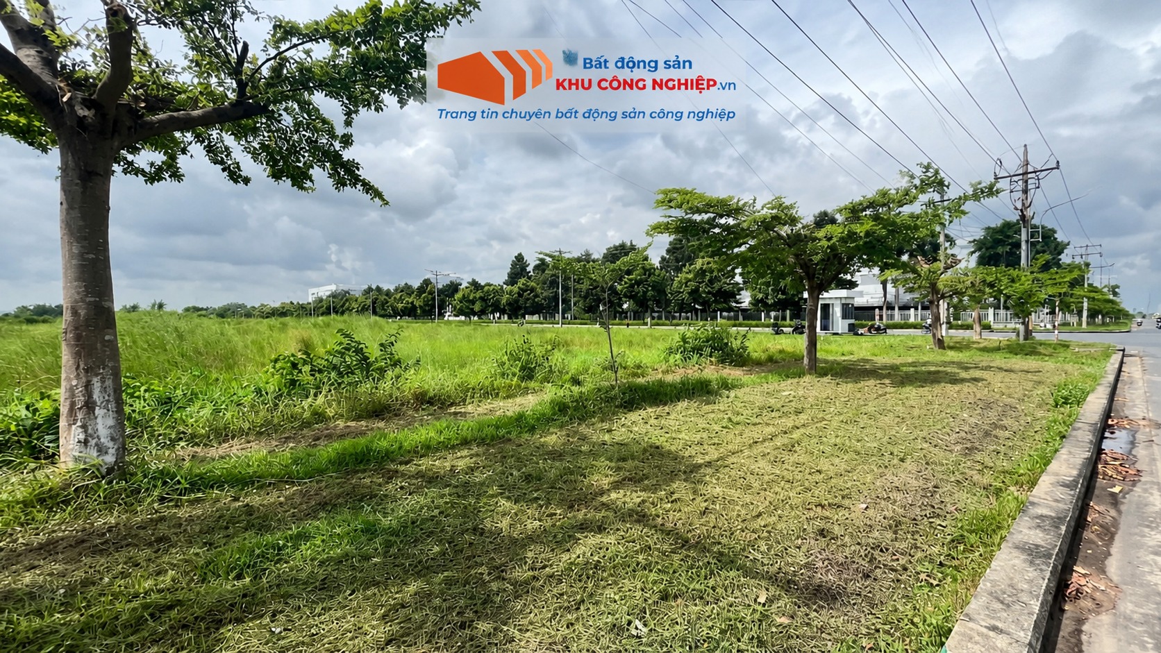 Bán 51,000 m2 đất công nghiệp trong KCN Bàu Bàng, Bàu Bàng, Bình Dương