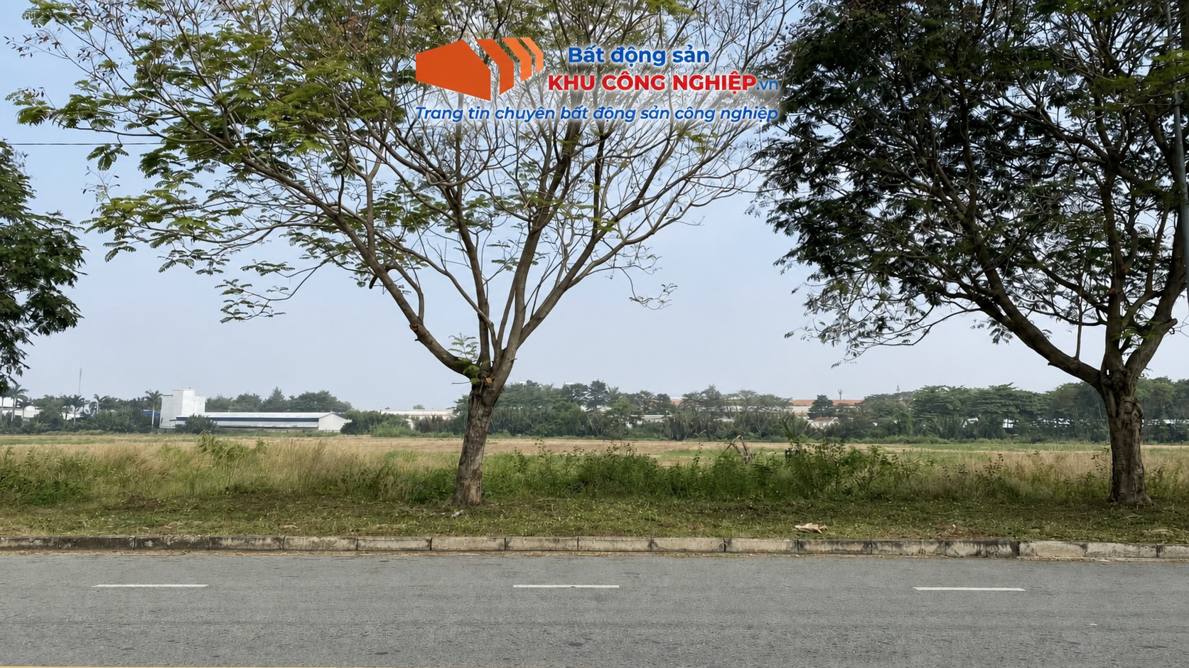 Bán 6,3 hecta đất khu công nghiệp Thuận Đạo Long An làm kho logistic