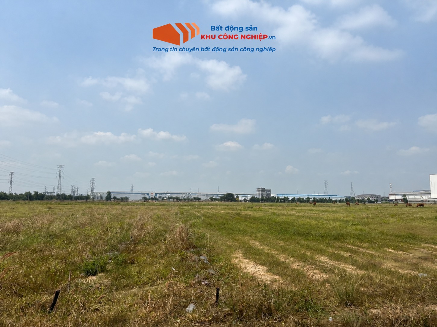Bán đất 40000m2 KCN Sóng Thần 3, Thủ Dầu Một, Bình Dương