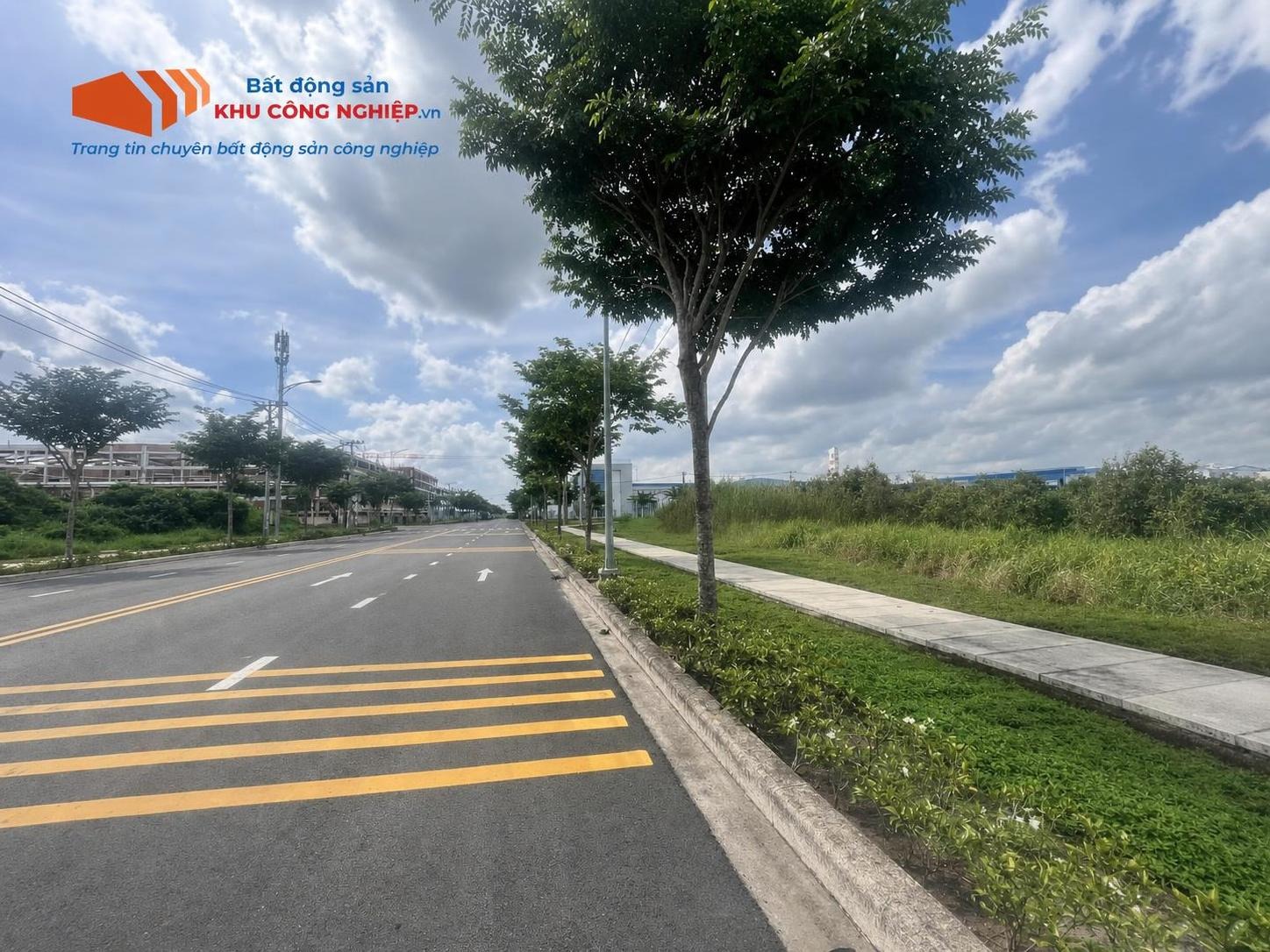 Bán đất 40000m2 tại Long Nguyên, Bàu Bàng, Bình Dương
