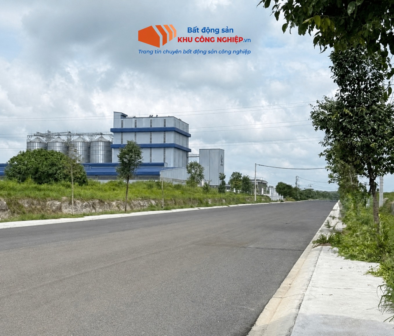 Bán đất 6400m2 KCN Tân Đức, Đức Hòa, Tây Ninh