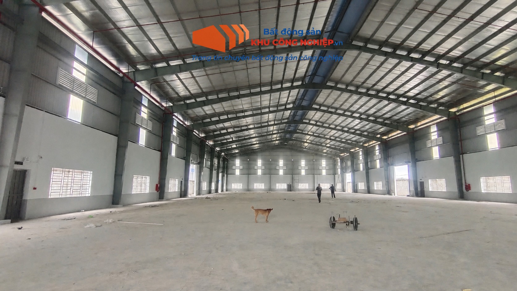 Bán đất và cho thuê kho 1.500 m2 Tỉnh lộ 830,Bến Lức, Long An