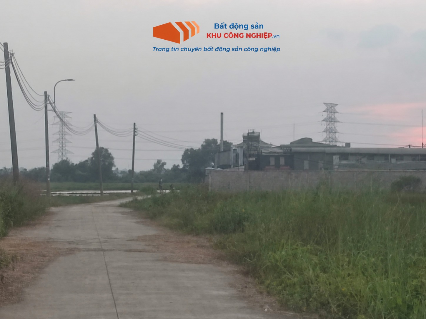 Bán lô đất giá rẻ 5000m2 mặt tiền nhựa Tân Thạnh Đông, Củ Chi
