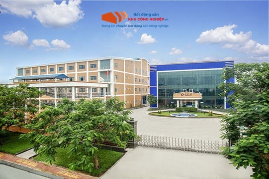 Ban quản lý KCN Nam Tân Uyên – Liên hệ thuê mua đất, xưởng
