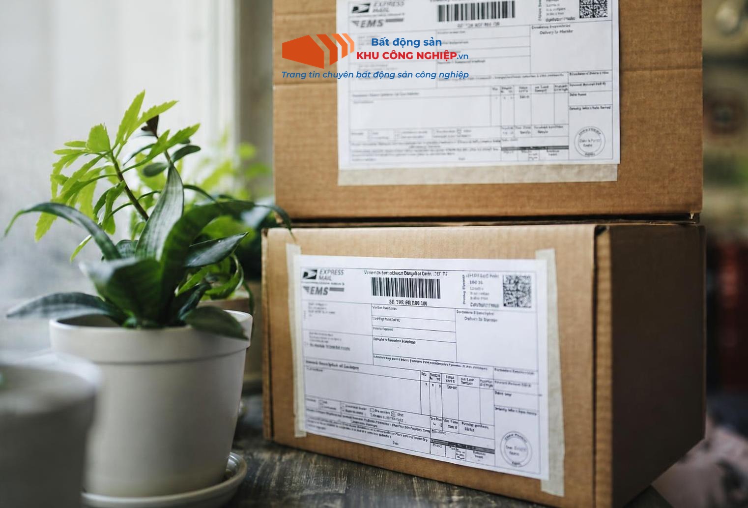 DANH SÁCH 34 TỈNH, THÀNH PHỐ TẠI VIỆT NAM SAU SÁT NHẬP VÀ NHỮNG ĐIỀU CẦN BIẾT