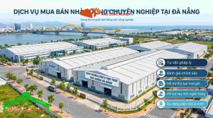 Dịch vụ mua bán nhà xưởng Đà Nẵng – Công ty nào rành pháp lý?