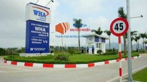 Khu Công Nghiệp WHA Tăng Tốc Mở Rộng Quỹ Đất Hàng Nghìn Hecta Tại Việt Nam