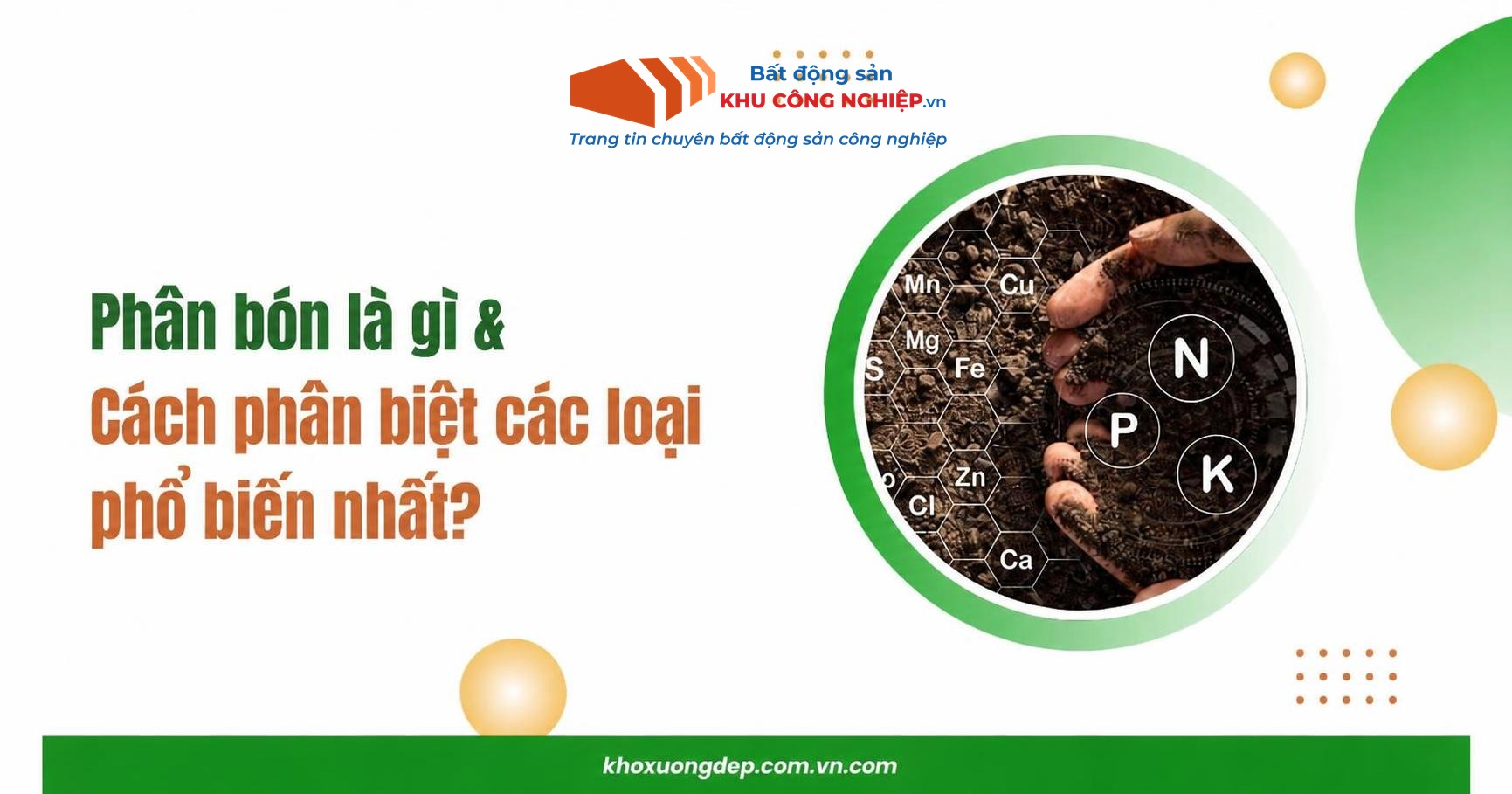 Phân bón là gì và cách phân biệt các loại phổ biến nhất?