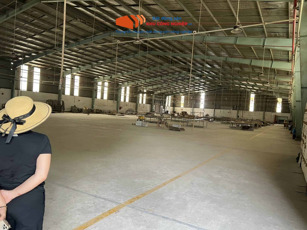 Xưởng bán 25.000m2 trong KCN Tân Đô, Hải Sơn, Long An - hình ảnh 2