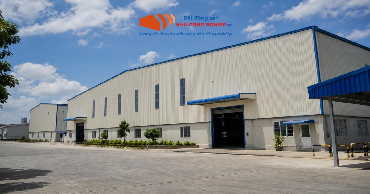 Cảng Cái Mép Thị Vải lọt top 7 cảng container hiệu quả nhất