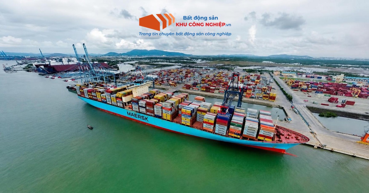 Cảng Cái Mép Thị Vải ghi danh top 7 cảng container hiệu quả nhất thế giới